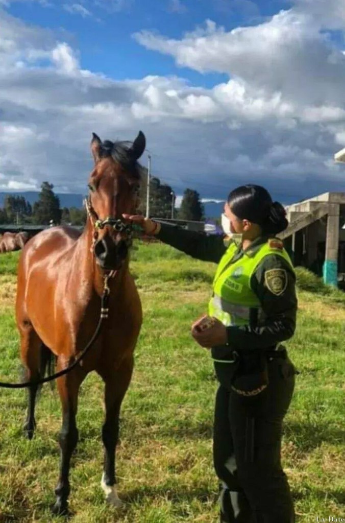 Alejandra Profile image 4