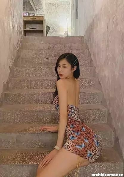 Qiuli Profile image 4